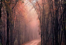 瑞典篮球队创下惊人胜利，紧咬对手，点燃全场激情！