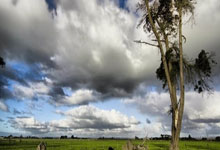 瓦拉多利德剑指榜首，塞维利亚能否守住荣耀？一场决定西甲格局的巅峰对决！