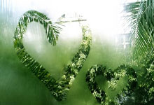 巴黎圣日耳曼：王者之路，连胜不止，豪取领跑优势