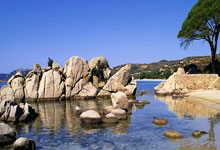 勒沃库森的绿色足迹：绿茵场下的温暖力量